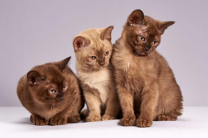 Die Unterkunft Steht Ab Sofort Nicht Mehr Zur Verfuegung Appartment Is Finis 1 June - Thanks For All Your Andreas & 3 Cats Lübeck Exterior foto